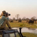 Safari photo Botswana : préparer un voyage inoubliable en pleine nature